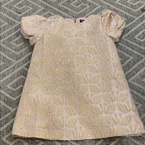 Crewcuts Blush and Gold Swan Dress